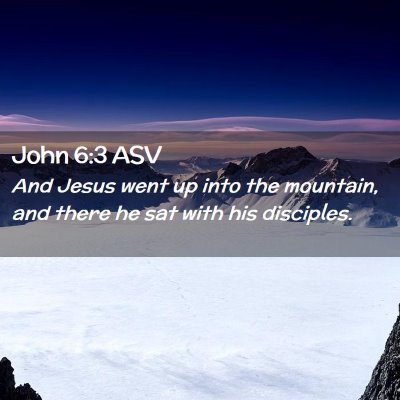 Picture 02 - John 6:3 ASV - And Jesus went up into the mountain, and there he - Bible Verse Picture