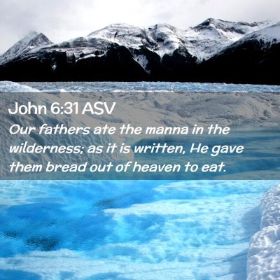 Picture 02 - John 6:31 ASV - Our fathers ate the manna in the wilderness; as - Bible Verse Picture