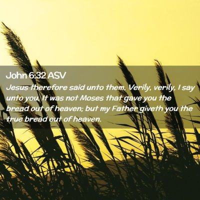 Picture 02 - John 6:32 ASV - Jesus therefore said unto them, Verily, verily, I - Bible Verse Picture