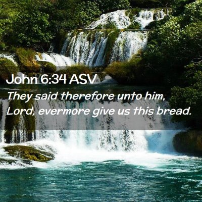 Picture 02 - John 6:34 ASV - They said therefore unto him, Lord, evermore give - Bible Verse Picture