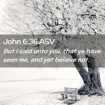 Picture 02 - John 6:36 ASV - But I said unto you, that ye have seen me, and - Bible Verse Picture