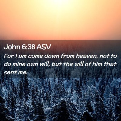 Picture 02 - John 6:38 ASV - For I am come down from heaven, not to do mine - Bible Verse Picture