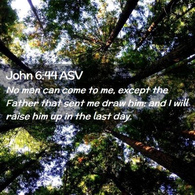 Picture 02 - John 6:44 ASV - No man can come to me, except the Father that - Bible Verse Picture