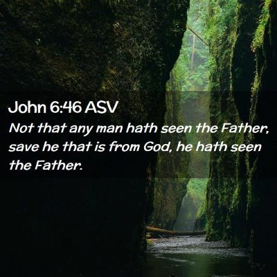 Picture 02 - John 6:46 ASV - Not that any man hath seen the Father, save he - Bible Verse Picture