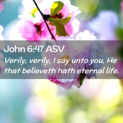 Picture 02 - John 6:47 ASV - Verily, verily, I say unto you, He that believeth - Bible Verse Picture