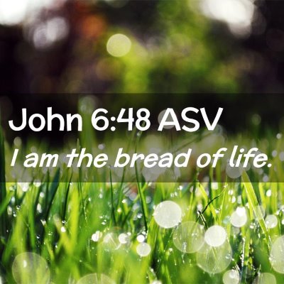 Picture 02 - John 6:48 ASV - I am the bread of - Bible Verse Picture