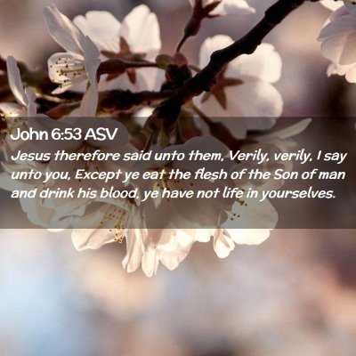 Picture 02 - John 6:53 ASV - Jesus therefore said unto them, Verily, verily, I - Bible Verse Picture