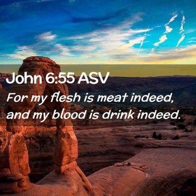 Picture 02 - John 6:55 ASV - For my flesh is meat indeed, and my blood is - Bible Verse Picture
