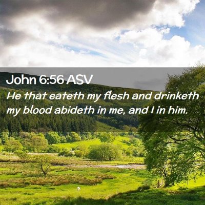Picture 02 - John 6:56 ASV - He that eateth my flesh and drinketh my blood - Bible Verse Picture