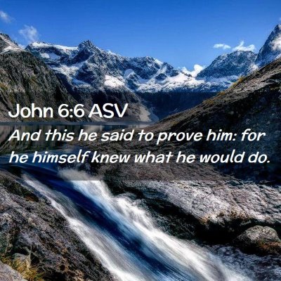 Picture 02 - John 6:6 ASV - And this he said to prove him: for he himself - Bible Verse Picture