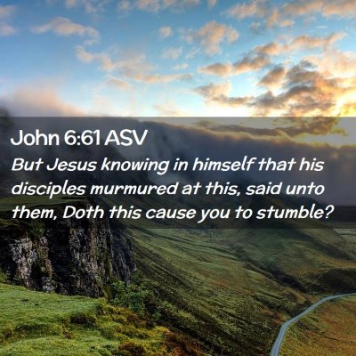 Picture 02 - John 6:61 ASV - But Jesus knowing in himself that his disciples - Bible Verse Picture