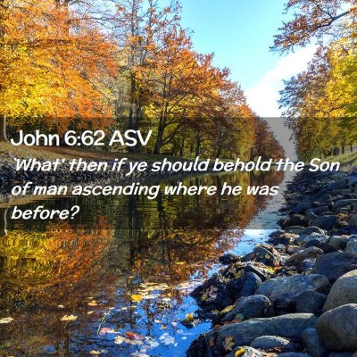 Picture 02 - John 6:62 ASV - `What' then if ye should behold the Son of man - Bible Verse Picture