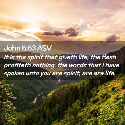 Picture 02 - John 6:63 ASV - It is the spirit that giveth life; the flesh - Bible Verse Picture