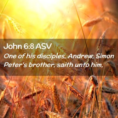 Picture 02 - John 6:8 ASV - One of his disciples, Andrew, Simon Peter's - Bible Verse Picture