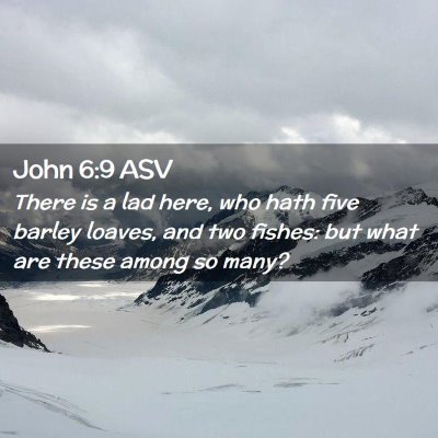 Picture 02 - John 6:9 ASV - There is a lad here, who hath five barley loaves, - Bible Verse Picture