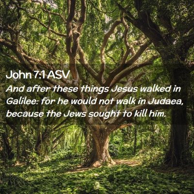 Picture 02 - John 7:1 ASV - And after these things Jesus walked in Galilee: - Bible Verse Picture