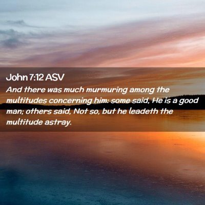 Picture 02 - John 7:12 ASV - And there was much murmuring among the multitudes - Bible Verse Picture