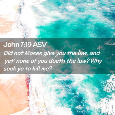 Picture 02 - John 7:19 ASV - Did not Moses give you the law, and `yet' none of - Bible Verse Picture