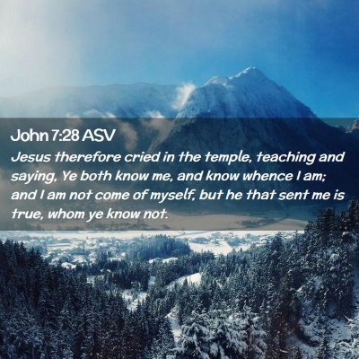Picture 02 - John 7:28 ASV - Jesus therefore cried in the temple, teaching and - Bible Verse Picture