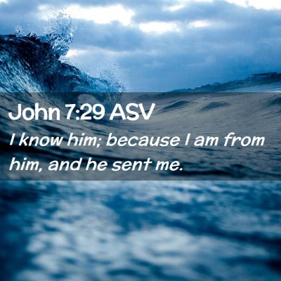 Picture 02 - John 7:29 ASV - I know him; because I am from him, and he sent - Bible Verse Picture