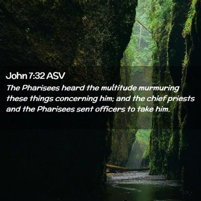 Picture 02 - John 7:32 ASV - The Pharisees heard the multitude murmuring these - Bible Verse Picture