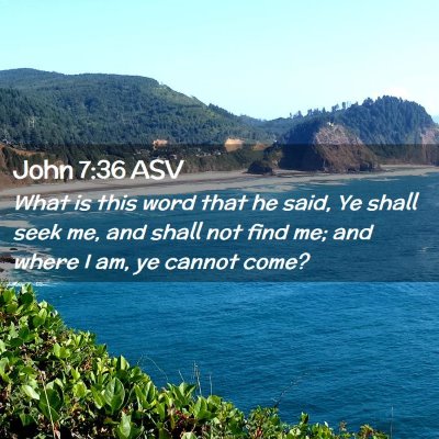 Picture 02 - John 7:36 ASV - What is this word that he said, Ye shall seek me, - Bible Verse Picture