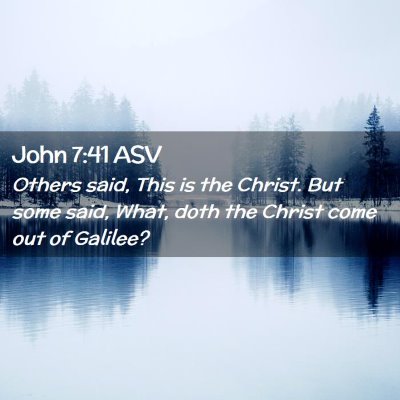 Picture 02 - John 7:41 ASV - Others said, This is the Christ. But some said, - Bible Verse Picture
