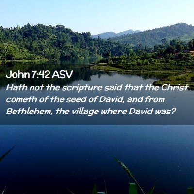 Picture 02 - John 7:42 ASV - Hath not the scripture said that the Christ - Bible Verse Picture