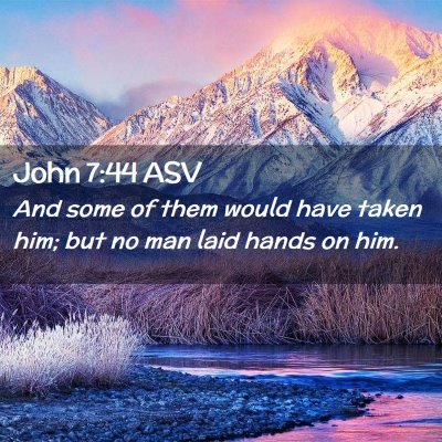 Picture 02 - John 7:44 ASV - And some of them would have taken him; but no man - Bible Verse Picture