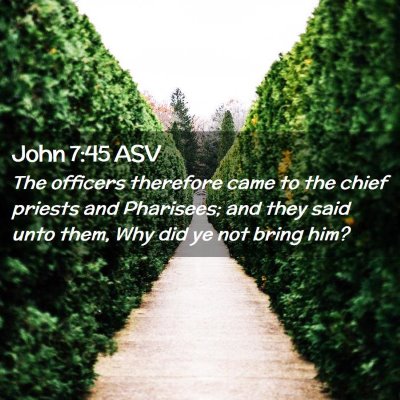 Picture 02 - John 7:45 ASV - The officers therefore came to the chief priests - Bible Verse Picture