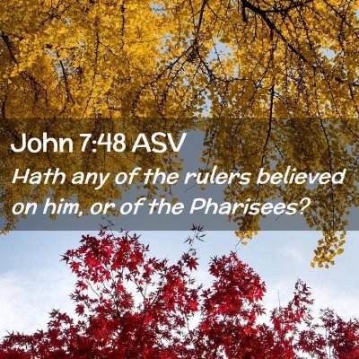 Picture 02 - John 7:48 ASV - Hath any of the rulers believed on him, or of the - Bible Verse Picture