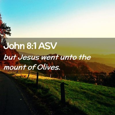 Picture 02 - John 8:1 ASV - but Jesus went unto the mount of - Bible Verse Picture
