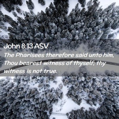 Picture 02 - John 8:13 ASV - The Pharisees therefore said unto him, Thou - Bible Verse Picture