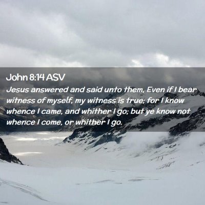 Picture 02 - John 8:14 ASV - Jesus answered and said unto them, Even if I bear - Bible Verse Picture