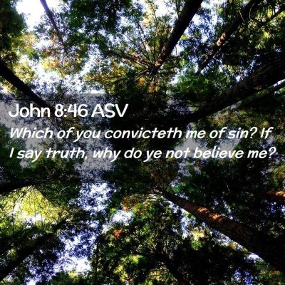 Picture 02 - John 8:46 ASV - Which of you convicteth me of sin? If I say - Bible Verse Picture