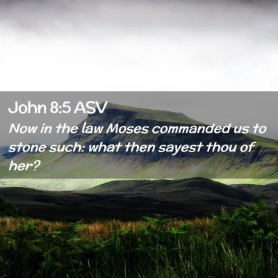 Picture 02 - John 8:5 ASV - Now in the law Moses commanded us to stone such: - Bible Verse Picture