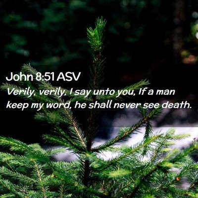 Picture 02 - John 8:51 ASV - Verily, verily, I say unto you, If a man keep my - Bible Verse Picture