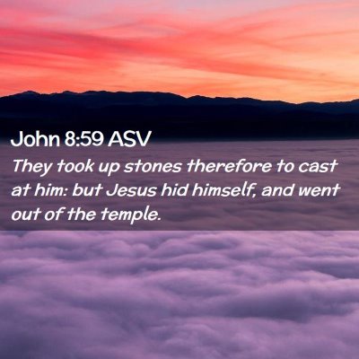 Picture 02 - John 8:59 ASV - They took up stones therefore to cast at him: but - Bible Verse Picture