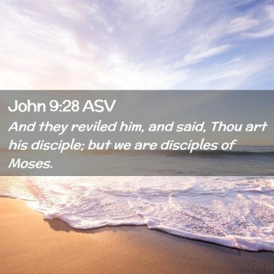 Picture 02 - John 9:28 ASV - And they reviled him, and said, Thou art his - Bible Verse Picture