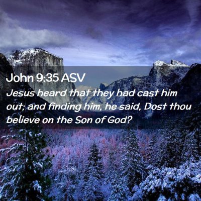 Picture 02 - John 9:35 ASV - Jesus heard that they had cast him out; and - Bible Verse Picture
