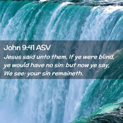 Picture 02 - John 9:41 ASV - Jesus said unto them, If ye were blind, ye would - Bible Verse Picture