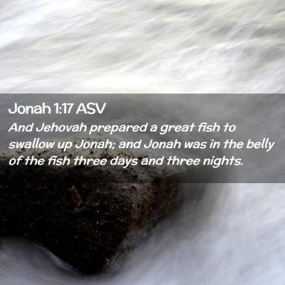 Picture 02 - Jonah 1:17 ASV - And Jehovah prepared a great fish to swallow up - Bible Verse Picture