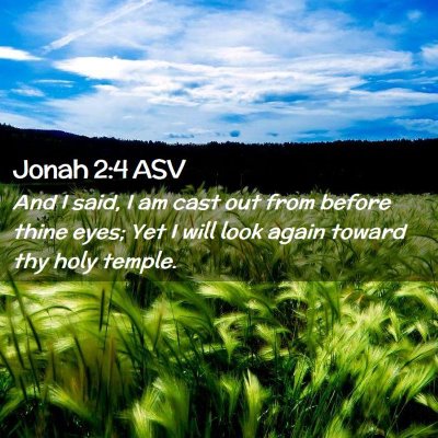 Picture 02 - Jonah 2:4 ASV - And I said, I am cast out from before thine eyes; - Bible Verse Picture