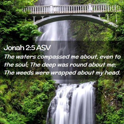 Picture 02 - Jonah 2:5 ASV - The waters compassed me about, even to the soul; - Bible Verse Picture