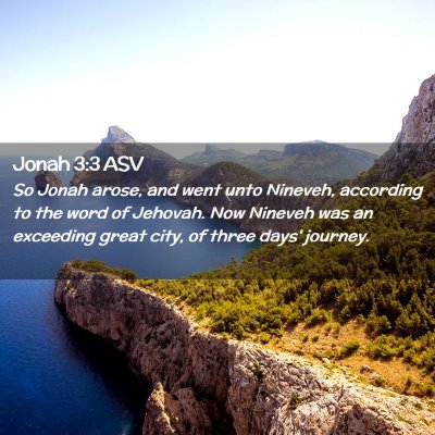 Picture 02 - Jonah 3:3 ASV - So Jonah arose, and went unto Nineveh, according - Bible Verse Picture