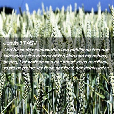 Picture 02 - Jonah 3:7 ASV - And he made proclamation and published through - Bible Verse Picture
