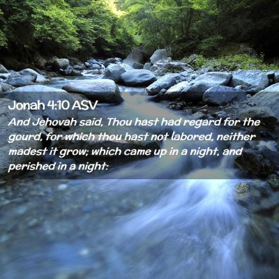 Picture 02 - Jonah 4:10 ASV - And Jehovah said, Thou hast had regard for the - Bible Verse Picture