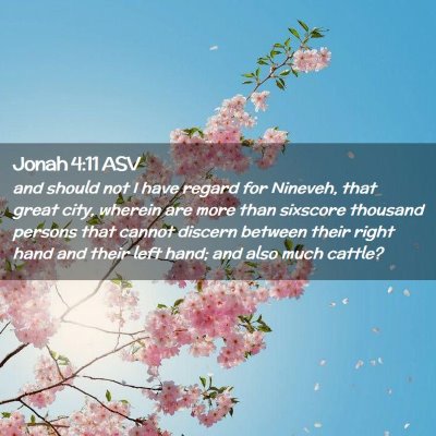 Picture 02 - Jonah 4:11 ASV - and should not I have regard for Nineveh, that - Bible Verse Picture