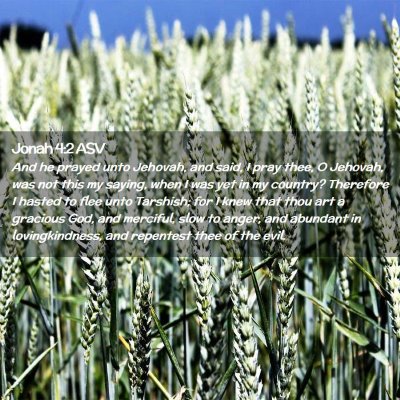 Picture 02 - Jonah 4:2 ASV - And he prayed unto Jehovah, and said, I pray - Bible Verse Picture