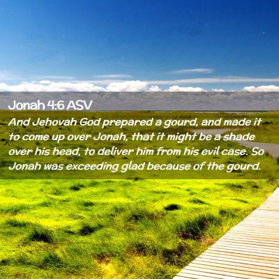Picture 02 - Jonah 4:6 ASV - And Jehovah God prepared a gourd, and made it to - Bible Verse Picture